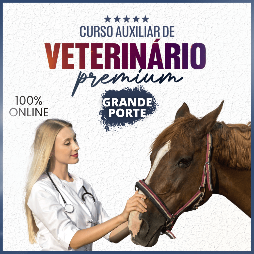 Curso Auxiliar Veterinário Grande Porte Ags Click Treinamentos 