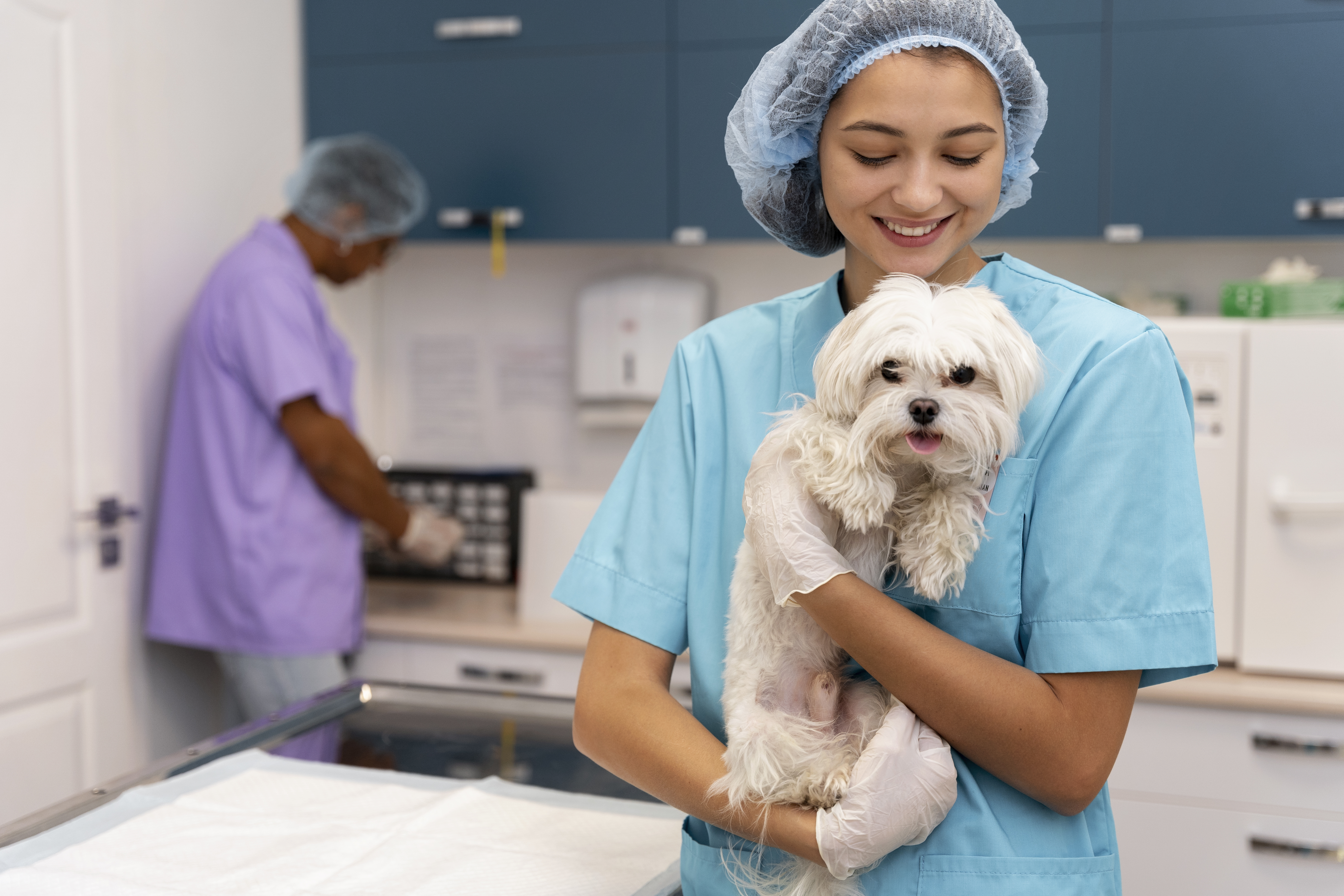 Profissional cuidando de pet